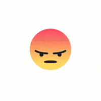 facebook discover GIF