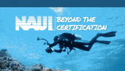 Ocean Scuba GIF by NAUI Worldwide