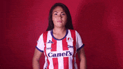 Sanluis Adsl GIF by Atlético de San Luis