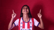 Sanluis Adsl GIF by Atlético de San Luis
