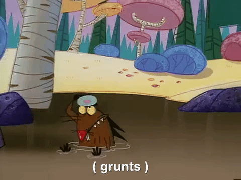 nickrewind giphydvr nicksplat angry beavers giphyab031 GIF