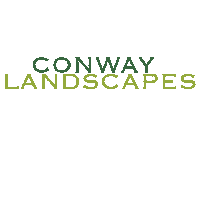 ConwayLandscapes conwaylandscapes conway landscapes Sticker