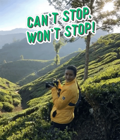 surbhikaushik giphyattribution photography camera shooting GIF