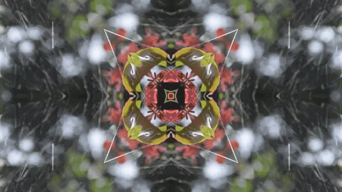 Art Love GIF by jorgemariozuleta