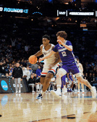 Solo Ball GIF by UConn Huskies