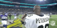 Minnesota Vikings Football GIF by NFL