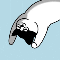 Sleepy Scratch Cat GIF by Moca Network