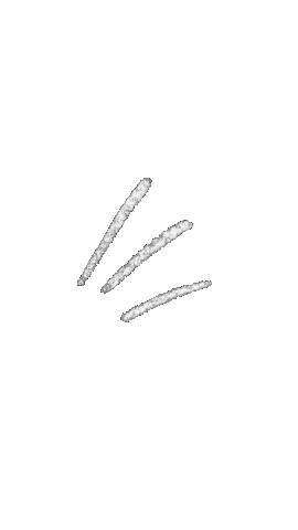 Lights Shine Sticker