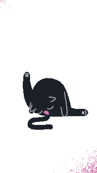 Cat Sticker
