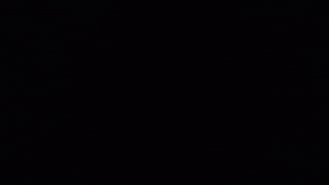 Angry Red Panda GIF by Dark Aries