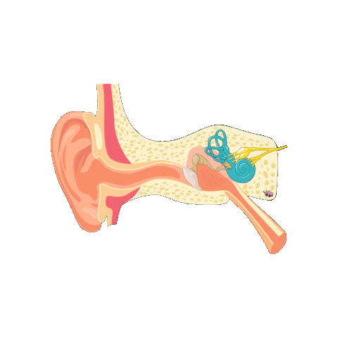 revmed study listening medicine healthcare Sticker