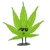 Plant Dancing Sticker by megan lockhart