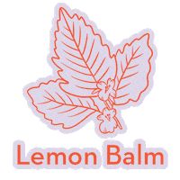 Herbs Stay Calm Sticker by Mab & Stoke