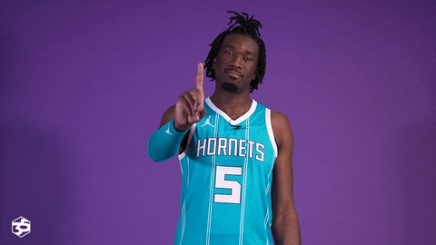Basketball No GIF by Charlotte Hornets