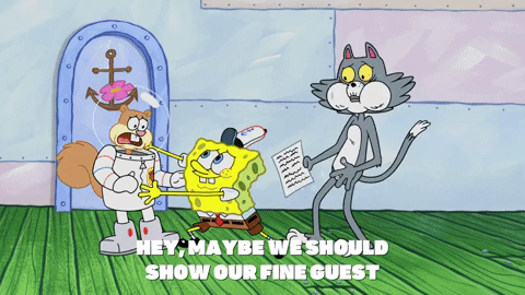 season 9 episode 10 GIF by SpongeBob SquarePants