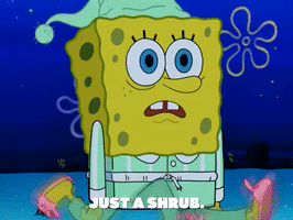 season 8 karen 2.0 GIF by SpongeBob SquarePants