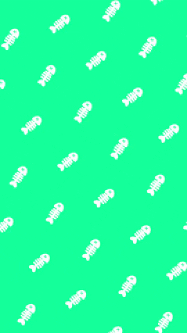 GIF by GIPHY Cam Chromas