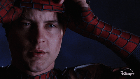 Spiderman Disney Plus GIF by Disney+