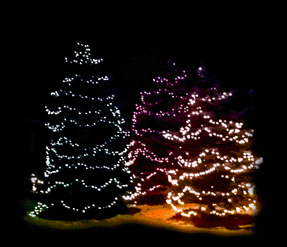 christmas lights GIF