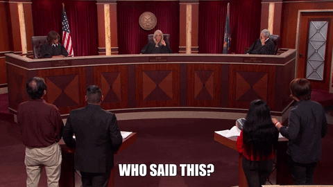 Who Said This GIF by Hot Bench