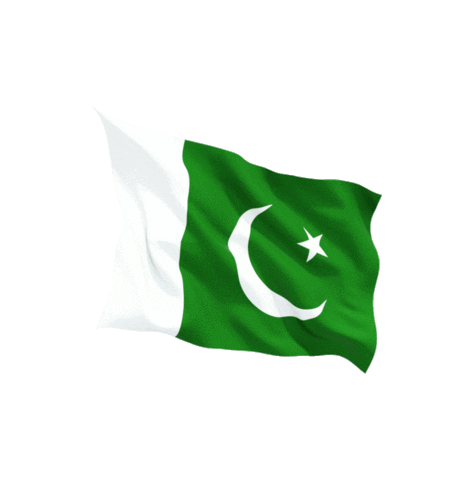 ebuildpakistan giphyupload construction building Pakistan Sticker