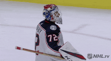 Ice Hockey Hug GIF by NHL