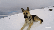 you’re welcome lol GIF by Outside TV