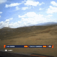Fail Broken Glass GIF by FIA World Rally Championship