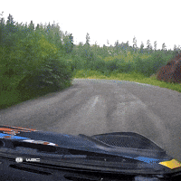 Fail Off Road GIF by FIA World Rally Championship