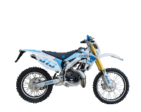 Tuning Honda Sticker by Polini