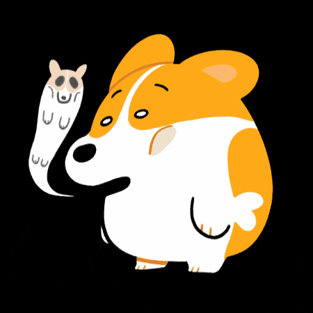 Dog Corgi GIF