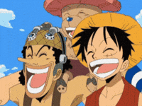 Sad One Piece GIF