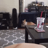 Dog GIF by jOnNy'S wOrLd