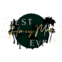 Travel Honeymoon Sticker by SunloverTravel
