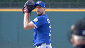 Blue Jays Baseball GIF by Toronto Blue Jays