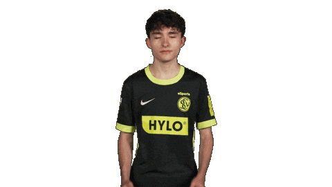 Football Yes Sticker by Bundesliga