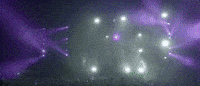 GIF by Disco Donnie Presents