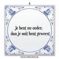 Nl Wijsheid GIF by Tegelspreuken.nl