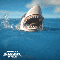 hungry-shark shark sharks ubisoft mobilegame GIF