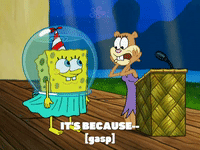season 6 gullible pants GIF by SpongeBob SquarePants