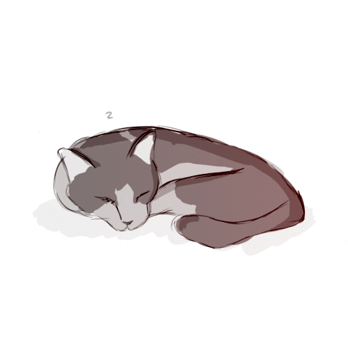 cat sleeping GIF by hoppip