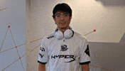 League Of Legends Isg GIF by Isurus