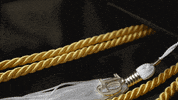 Graduation Umsocial GIF by University of Michigan