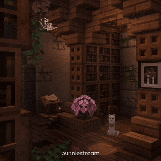 Cat Library GIF
