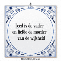 Humor Nl GIF by Tegelspreuken.nl