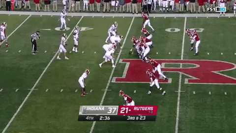 zosterman giphygifmaker GIF