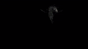 Virtual Reality Vr GIF