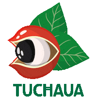 Coca Cola Guarana Sticker by Grupo Simões