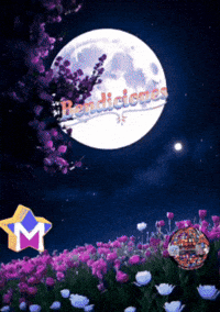 Mi Corazon Amigos GIF by Murcianys LLC