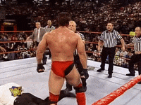 wwe sports wwe wrestling 1997 GIF